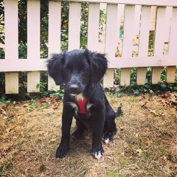 Meet your Posher, Carolyn - Picture 3 of 6